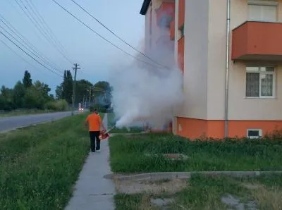 Dezinfectie - deratizare Timisoara