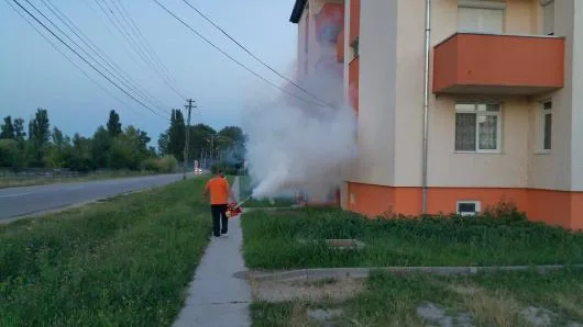 Dezinfectie - deratizare Timisoara