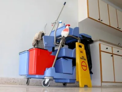 Dezinfectie - deratizare Timisoara