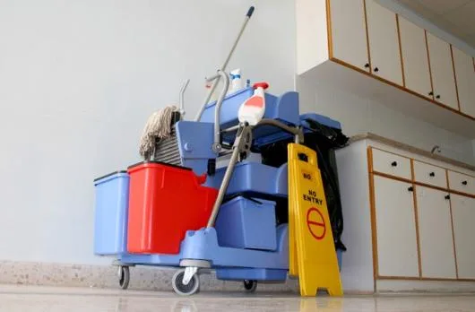 Dezinfectie - deratizare Timisoara