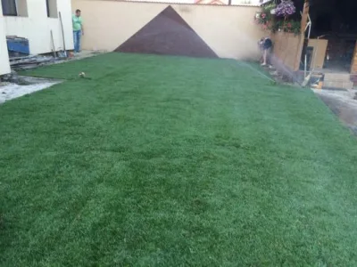 Servicii profesionale de amenajari gradini