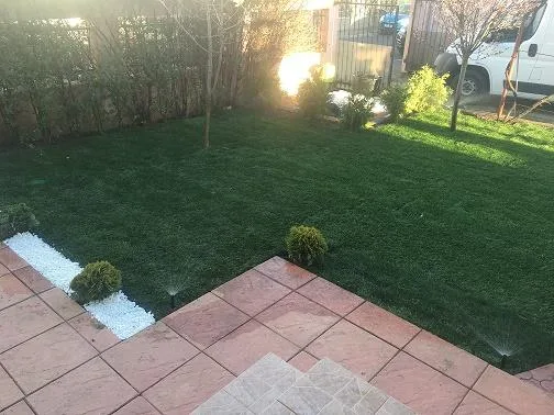 Servicii profesionale de amenajari gradini