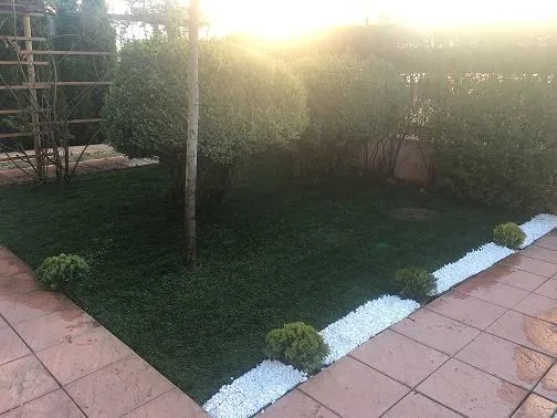 Servicii profesionale de amenajari gradini