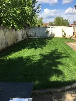 Servicii profesionale de amenajari gradini