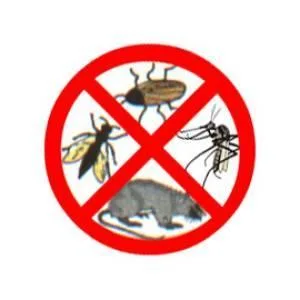 Servicii de dezinsectie - dezinfectie - deratizare Brasov