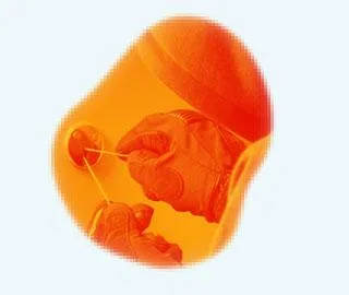 S.C. ALARM PROJECT S.R.L.