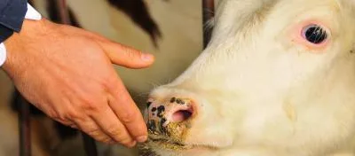 Consultanta implementare proiecte de investitii cu finantare europeana Bucuresti