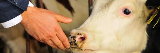 Consultanta implementare proiecte de investitii cu finantare europeana Bucuresti