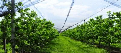 Consultanta implementare proiecte de investitii cu finantare europeana Bucuresti