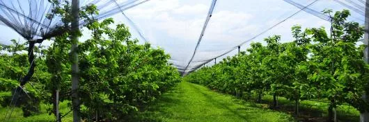 Consultanta implementare proiecte de investitii cu finantare europeana Bucuresti