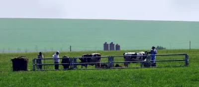 Consultanta implementare proiecte de investitii cu finantare europeana Bucuresti