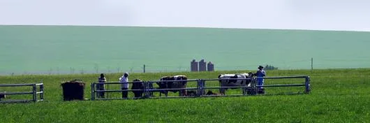 Consultanta implementare proiecte de investitii cu finantare europeana Bucuresti