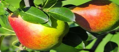 Consultanta implementare proiecte de investitii cu finantare europeana Bucuresti