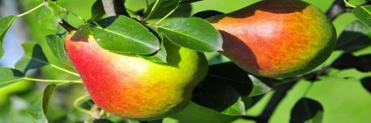 Consultanta implementare proiecte de investitii cu finantare europeana Bucuresti