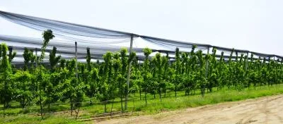 Consultanta implementare proiecte de investitii cu finantare europeana Bucuresti