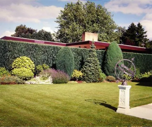 GARDEN JUNIOR