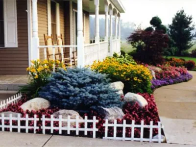 GARDEN JUNIOR