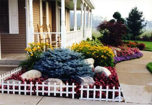GARDEN JUNIOR