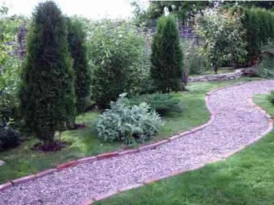 GARDEN JUNIOR