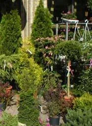 GARDEN JUNIOR