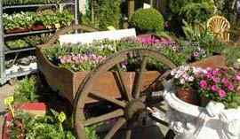 GARDEN JUNIOR