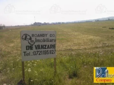 ROANDY COMPANY
