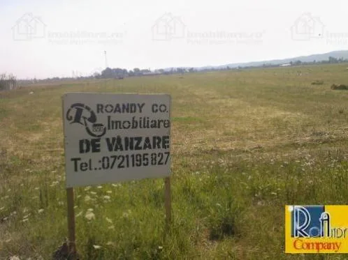 ROANDY COMPANY