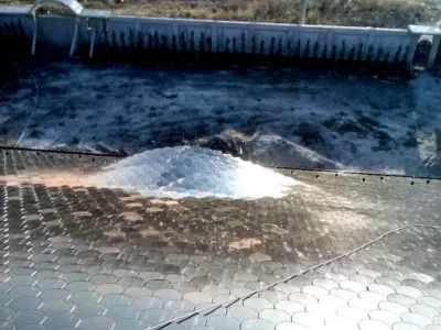 Buzau - Montaj si renovare acoperisuri