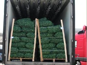 Transporturi rutiere - interne si internationale in regim frigorific - Oradea