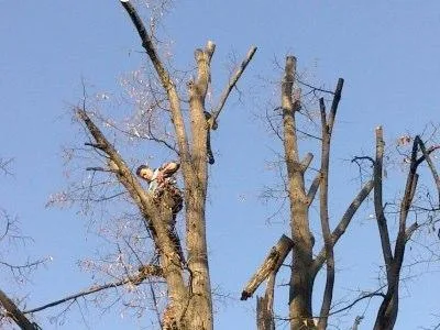 Alpinism utilitar - Bucuresti