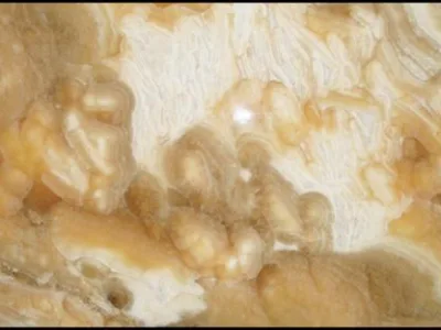 Import - prelucrare si montaj piatra naturala - Chitila