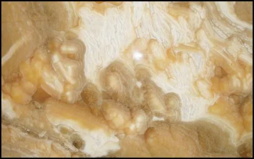 Import - prelucrare si montaj piatra naturala - Chitila