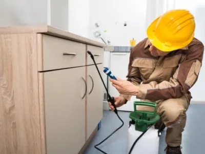 Curatenie - dezinfectie Ploiesti