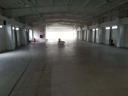 Servicii Profesionale de Curatenie si intretinere Bucuresti