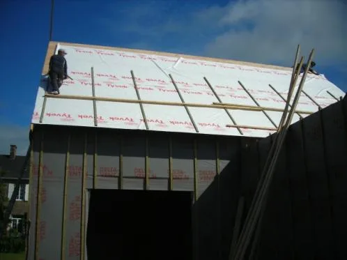 Constructii case de lemn - Prahova