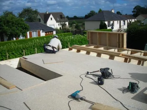 Constructii case de lemn - Prahova