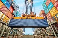 Transport international de marfa - Dobroesti / Ilfov