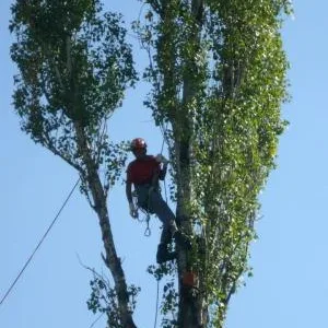Alpinism utilitar Bucuresti