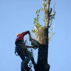 Alpinism utilitar Bucuresti