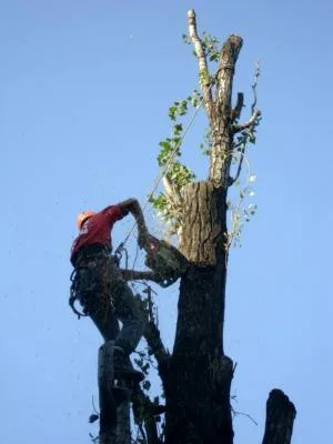 Alpinism utilitar Bucuresti