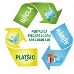 GREEN GLOBAL FUTURE