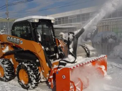 Voluntari / Ilfov - Intretinere gradini si plante