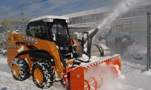 Voluntari / Ilfov - Intretinere gradini si plante