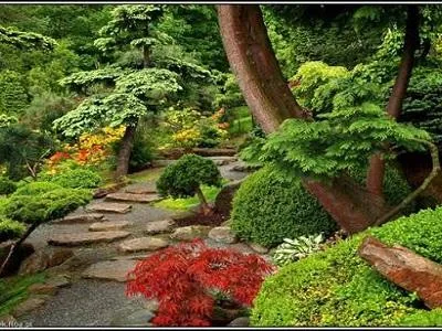 Voluntari / Ilfov - Intretinere gradini si plante