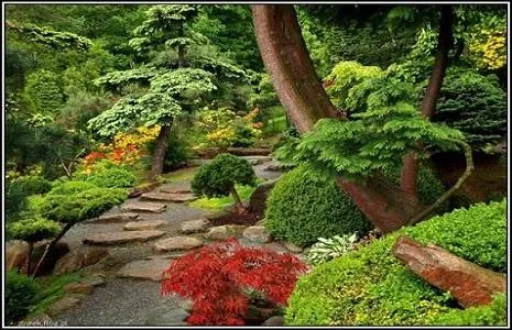 Voluntari / Ilfov - Intretinere gradini si plante