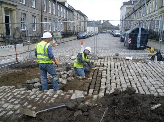 Voluntari / Ilfov - Intretinere gradini si plante