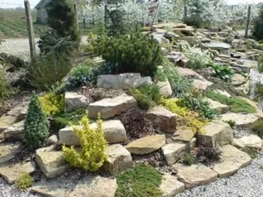 Voluntari / Ilfov - Intretinere gradini si plante