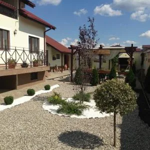 Bucuresti - Amenajare si intretinere gradini