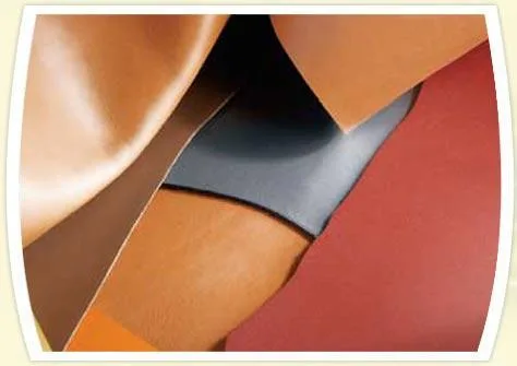 Curatatorie - spalatorie profesionala