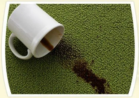 Curatatorie - spalatorie profesionala